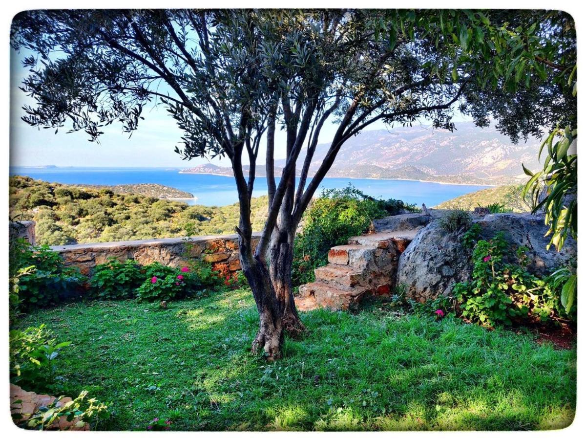 Olivia Homes Kaş Extérieur photo