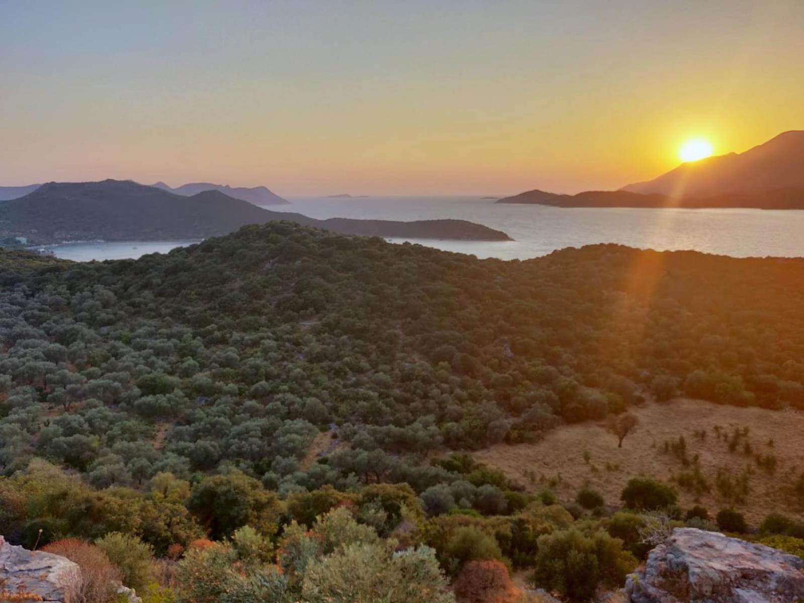 Olivia Homes Kaş Extérieur photo